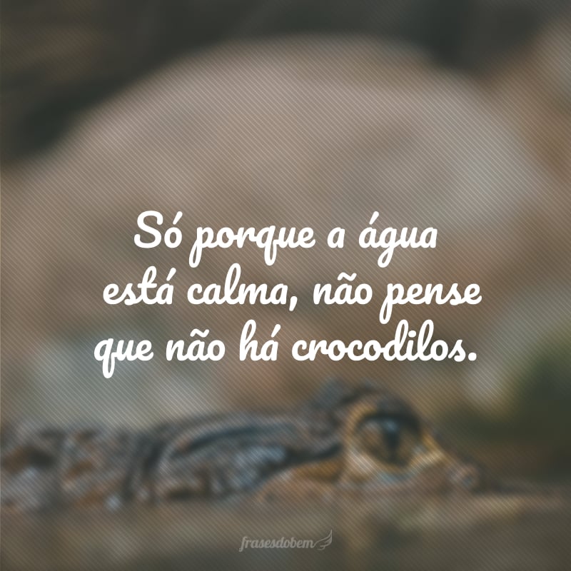 Só porque a água está calma, não pense que não há crocodilos.