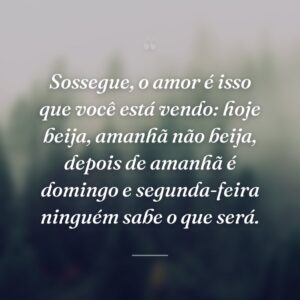 Sossegue, o amor é isso que você está vendo: hoje beija, amanhã não beija, depois de amanhã é domingo e segunda-feira ninguém sabe o que será.