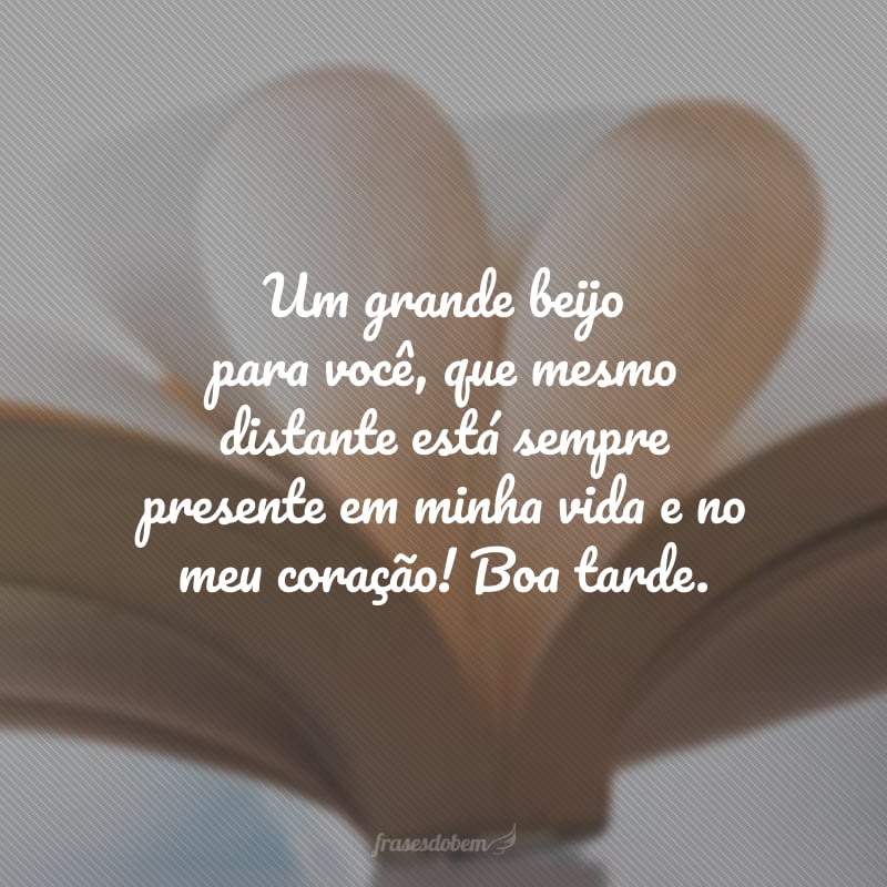 Um grande beijo para você, que mesmo distante está sempre presente em minha vida e no meu coração! Boa tarde.