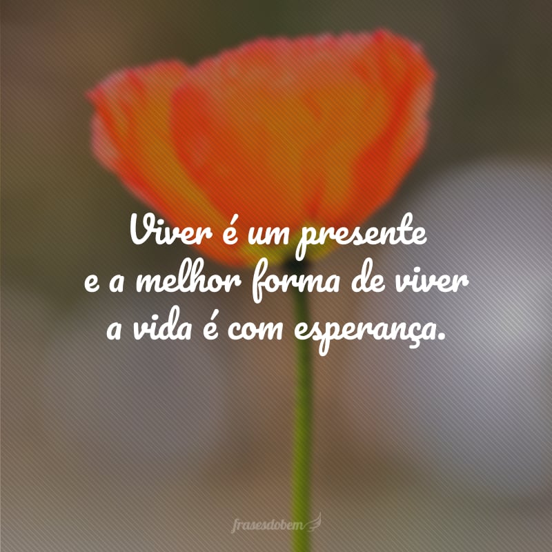 Viver é um presente e a melhor forma de viver a vida é com esperança.