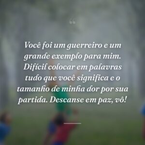 Você foi um guerreiro e um grande exemplo para mim. Difícil colocar em palavras tudo que você significa e o tamanho de minha dor por sua partida. Descanse em paz, vô!