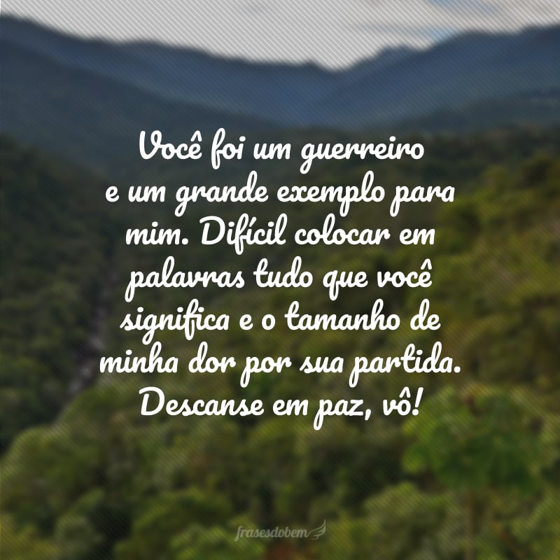 Você foi um guerreiro e um grande exemplo para mim. Difícil colocar em palavras tudo que você significa e o tamanho de minha dor por sua partida. Descanse em paz, vô!