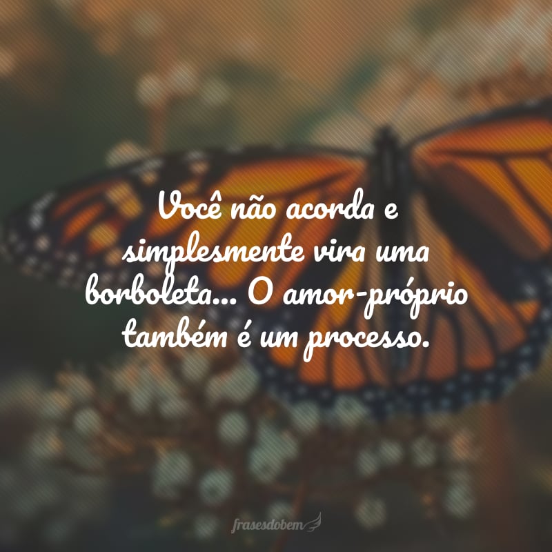 Você não acorda e simplesmente vira uma borboleta... O amor-próprio também é um processo.