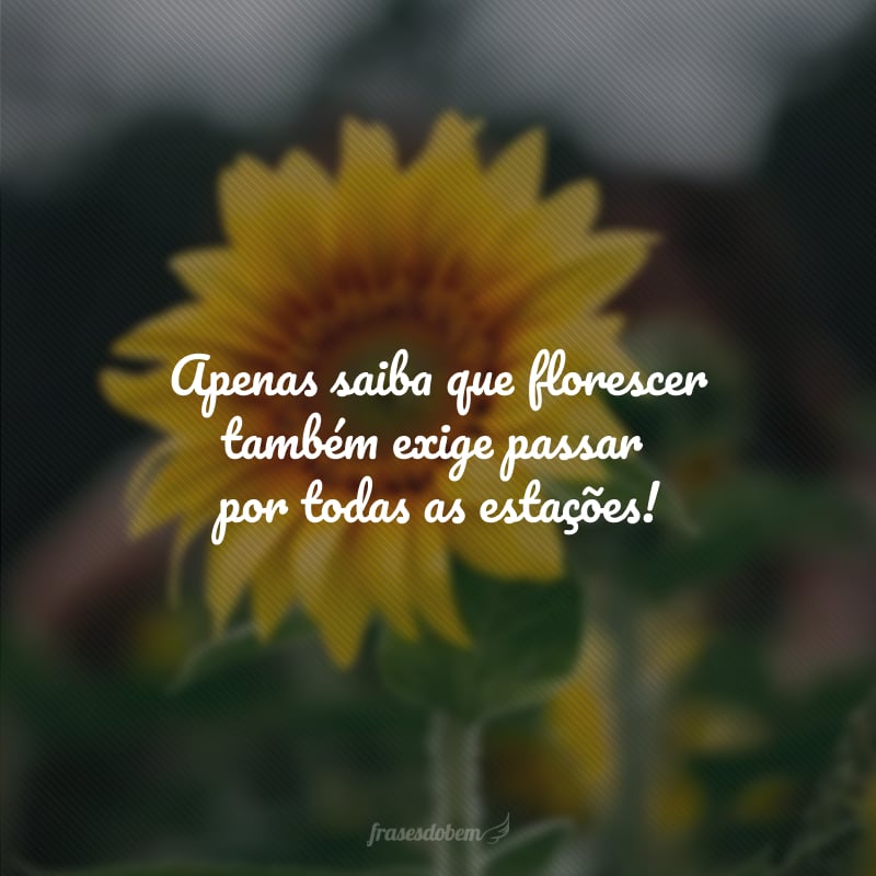 Apenas saiba que florescer também exige passar por todas as estações!