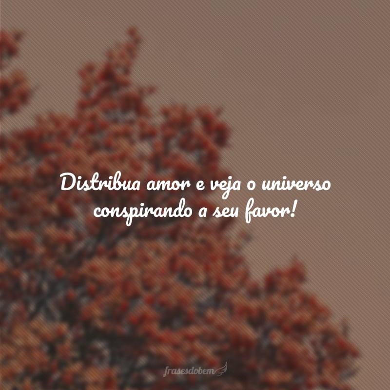 Distribua amor e veja o universo conspirando a seu favor!