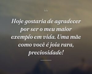 Hoje gostaria de agradecer por ser o meu maior exemplo em vida. Uma mãe como você é joia rara, preciosidade!