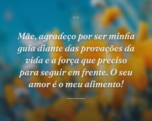 Mãe, agradeço por ser minha guia diante das provações da vida e a força que preciso para seguir em frente. O seu amor é o meu alimento!