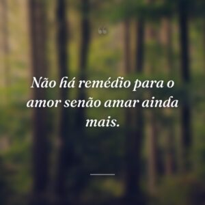 Não há remédio para o amor senão amar ainda mais.