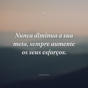 Nunca diminua a sua meta, sempre aumente os seus esforços.