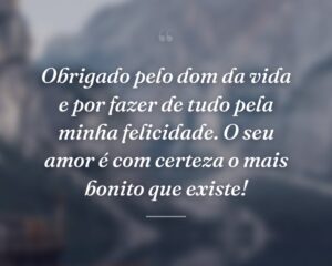 Obrigado pelo dom da vida e por fazer de tudo pela minha felicidade. O seu amor é com certeza o mais bonito que existe!
