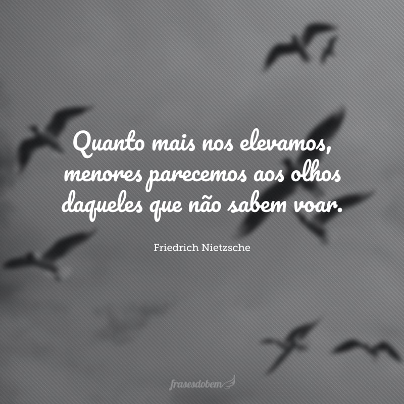 Quanto mais nos elevamos, menores parecemos aos olhos daqueles que não sabem voar.