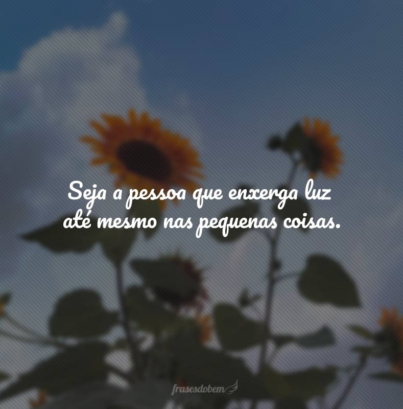 Seja a pessoa que enxerga luz até mesmo nas pequenas coisas.