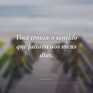 Você trouxe o sentido que faltava aos meus dias.