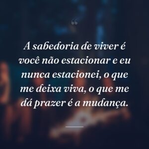 A sabedoria de viver é você não estacionar e eu nunca estacionei, o que me deixa viva, o que me dá prazer é a mudança.