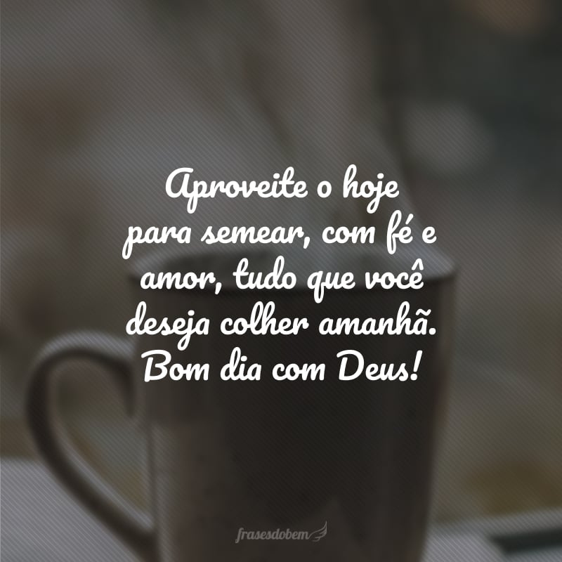 Aproveite o hoje para semear, com fé e amor, tudo que você deseja colher amanhã. Bom dia com Deus!