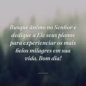 Busque ânimo no Senhor e dedique a Ele seus planos para experienciar os mais belos milagres em sua vida. Bom dia!