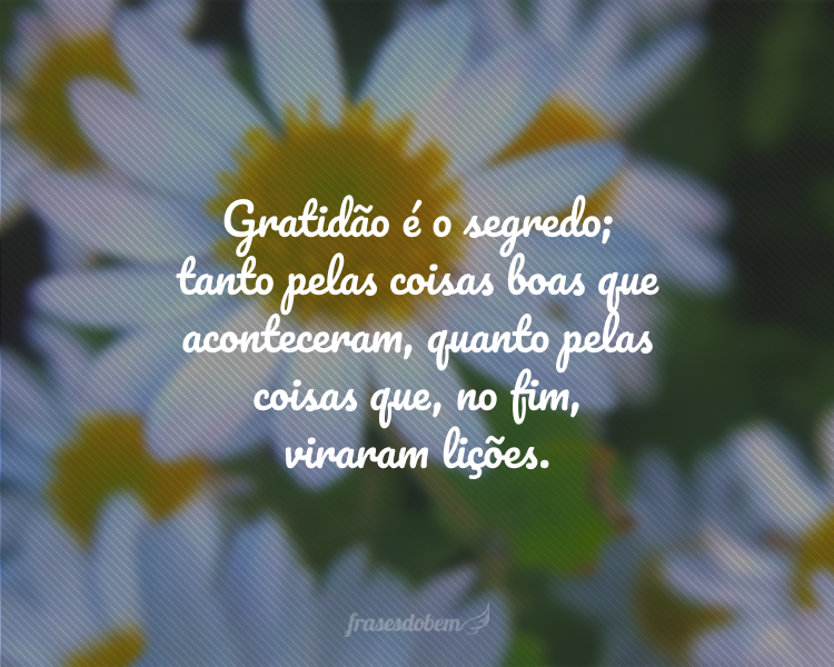 Gratidão é o segredo; tanto pelas coisas boas que aconteceram, quanto pelas coisas que, no fim, viraram lições.