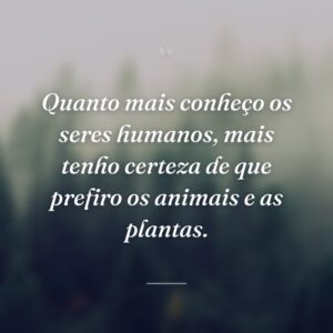 Quanto mais conheço os seres humanos, mais tenho certeza de que prefiro os animais e as plantas.