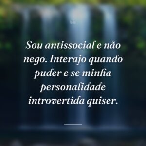 Sou antissocial e não nego. Interajo quando puder e se minha personalidade introvertida quiser.