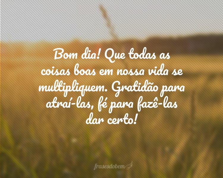 Bom dia! Que todas as coisas boas em nossa vida se multipliquem. Gratidão para atraí-las, fé para fazê-las dar certo!