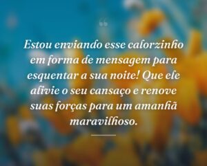 Estou enviando esse calorzinho em forma de mensagem para esquentar a sua noite! Que ele alivie o seu cansaço e renove suas forças para um amanhã maravilhoso.