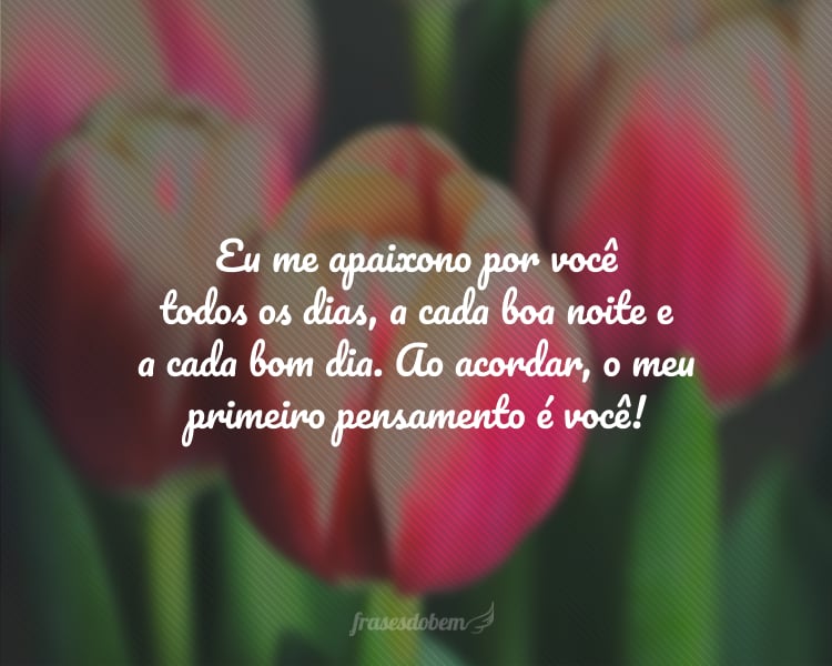 Eu me apaixono por você todos os dias, a cada boa noite e a cada bom dia. Ao acordar, o meu primeiro pensamento é você!