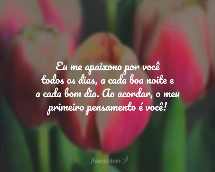 Eu me apaixono por você todos os dias, a cada boa noite e a cada bom dia. Ao acordar, o meu primeiro pensamento é você!