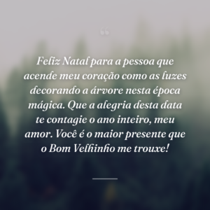Feliz Natal para a pessoa que acende meu coração como as luzes decorando a árvore nesta época mágica. Que a alegria desta data te contagie o ano inteiro, meu amor. Você é o maior presente que o Bom Velhinho me trouxe!