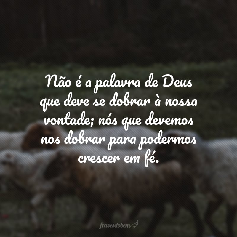 Não é a palavra de Deus que deve se dobrar à nossa vontade; nós que devemos nos dobrar para podermos crescer em fé.