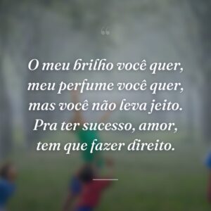 O meu brilho você quer, meu perfume você quer, mas você não leva jeito. Pra ter sucesso, amor, tem que fazer direito.