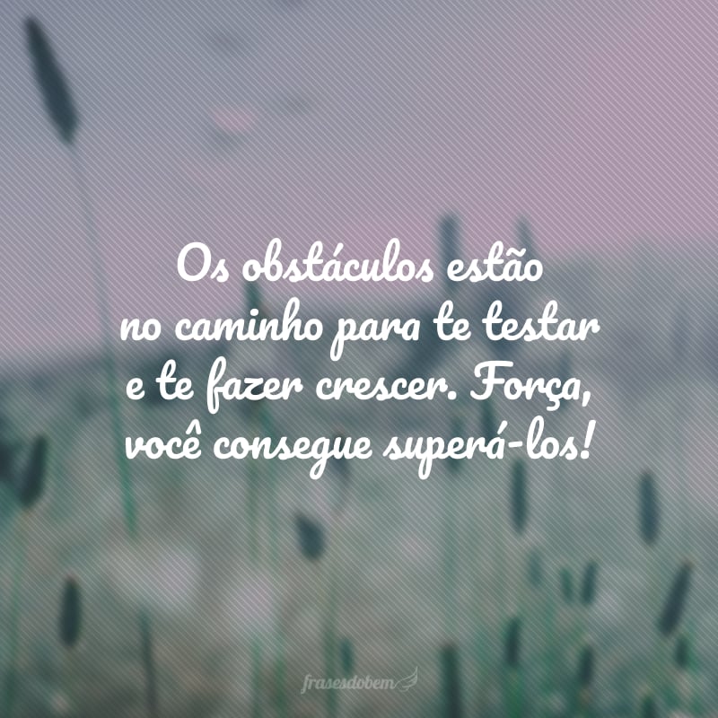 Os obstáculos estão no caminho para te testar e te fazer crescer. Força, você consegue superá-los!