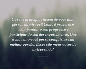 Os seus princípios fazem de você uma pessoa admirável! Como é prazeroso acompanhar o seu progresso e participar do seu desenvolvimento. Que a cada ano você possa conquistar sua melhor versão. Esses são meus votos de aniversário!
