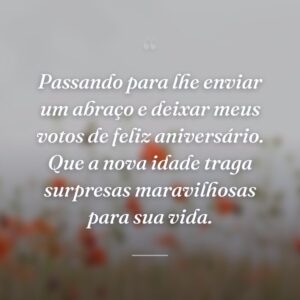 Passando para lhe enviar um abraço e deixar meus votos de feliz aniversário. Que a nova idade traga surpresas maravilhosas para sua vida.