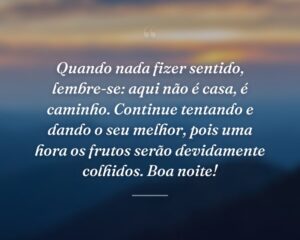 Quando nada fizer sentido, lembre-se: aqui não é casa, é caminho. Continue tentando e dando o seu melhor, pois uma hora os frutos serão devidamente colhidos. Boa noite!