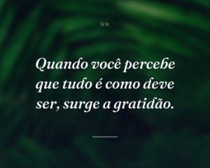 Quando você percebe que tudo é como deve ser, surge a gratidão.