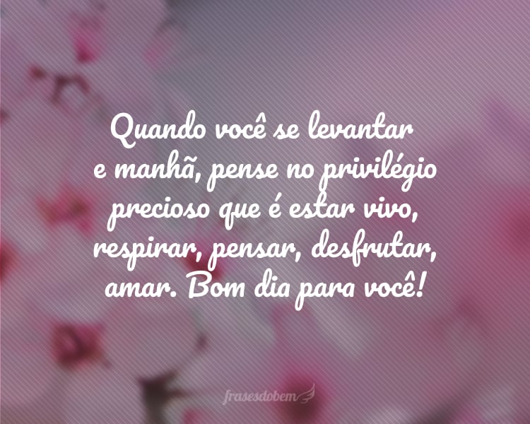 Quando você se levantar de manhã, pense no privilégio precioso que é estar vivo, respirar, pensar, desfrutar, amar. Bom dia para você!
