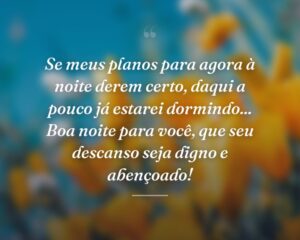 Se meus planos para agora à noite derem certo, daqui a pouco já estarei dormindo... Boa noite para você, que seu descanso seja digno e abençoado!
