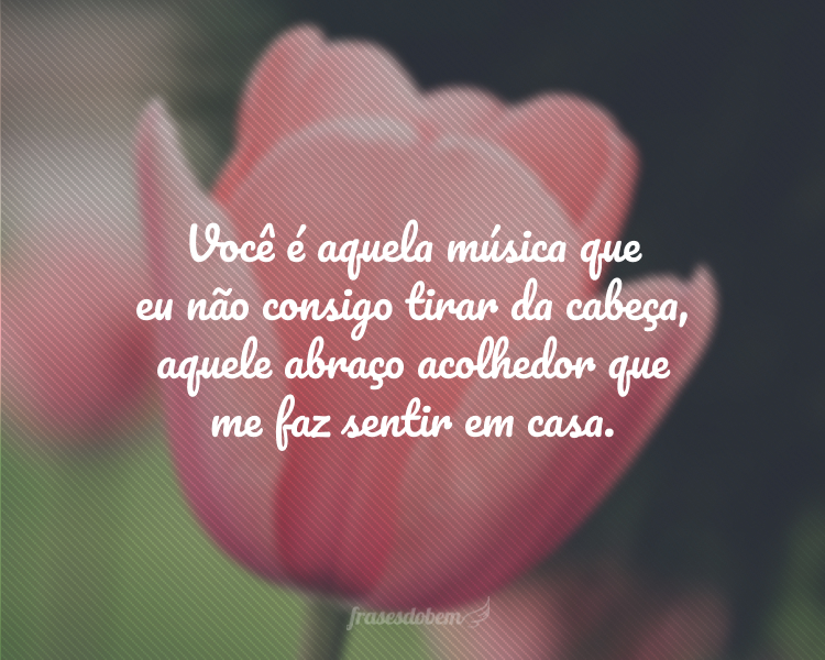 Você é aquela música que eu não consigo tirar da cabeça, aquele abraço acolhedor que me faz sentir em casa.