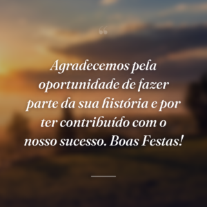 Agradecemos pela oportunidade de fazer parte da sua história e por ter contribuído com o nosso sucesso. Boas Festas!