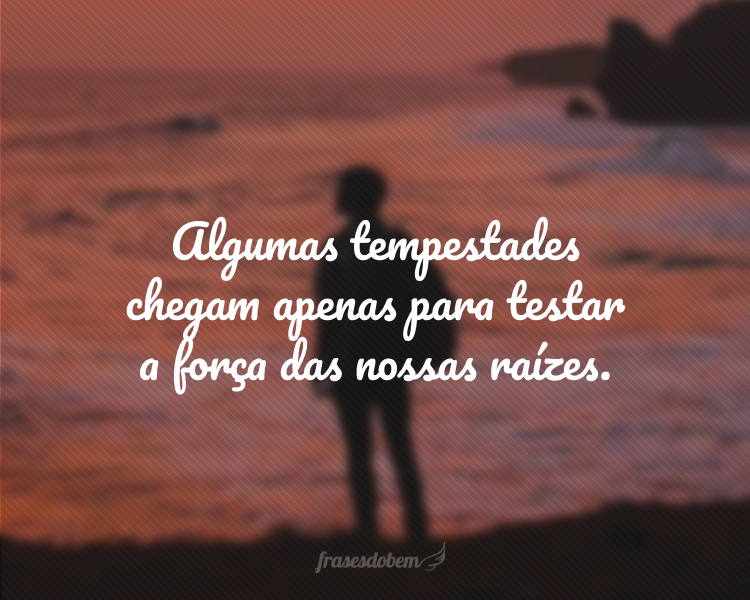 Algumas tempestades chegam apenas para testar a força das nossas raízes.