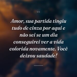 Amor, sua partida tingiu tudo de cinza por aqui e não sei se um dia conseguirei ver a vida colorida novamente. Você deixou saudade!