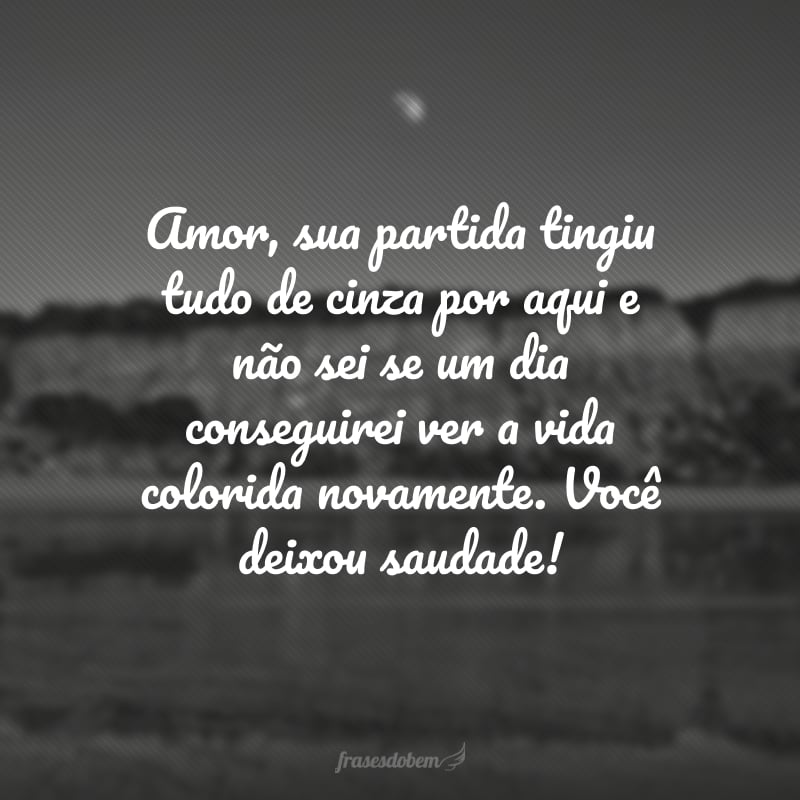 Amor, sua partida tingiu tudo de cinza por aqui e não sei se um dia conseguirei ver a vida colorida novamente. Você deixou saudade! 