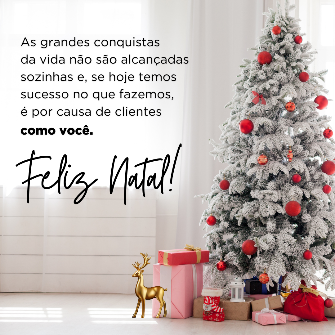 As grandes conquistas da vida não são alcançadas sozinhas e, se hoje temos sucesso no que fazemos, é por causa de clientes como você. Feliz Natal! 