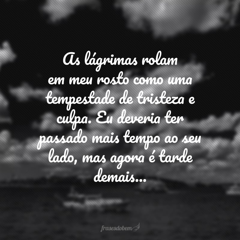 As lágrimas rolam em meu rosto como uma tempestade de tristeza e culpa. Eu deveria ter passado mais tempo ao seu lado, mas agora é tarde demais...