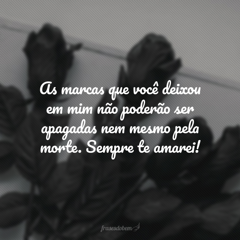 As marcas que você deixou em mim não poderão ser apagadas nem mesmo pela morte. Sempre te amarei! 