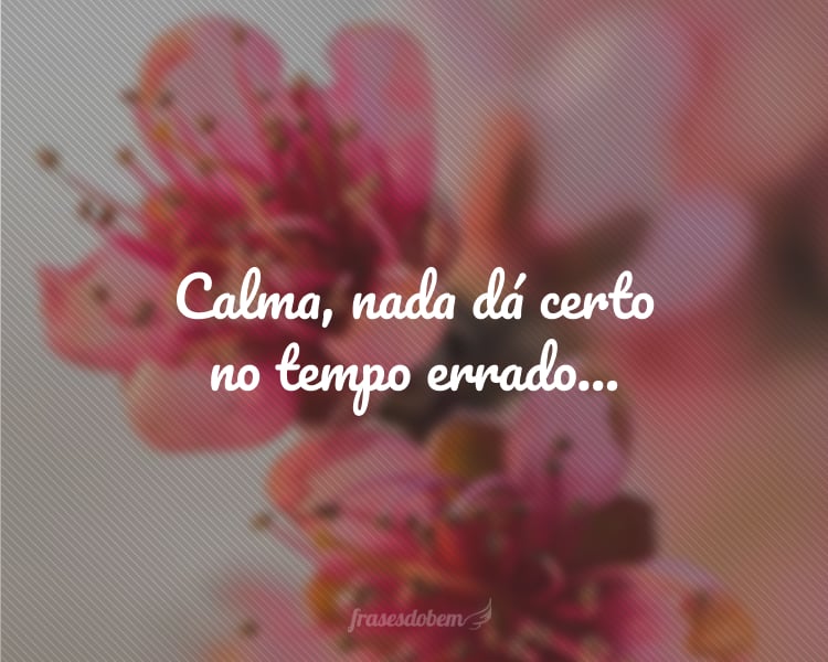 Calma, nada dá certo no tempo errado...