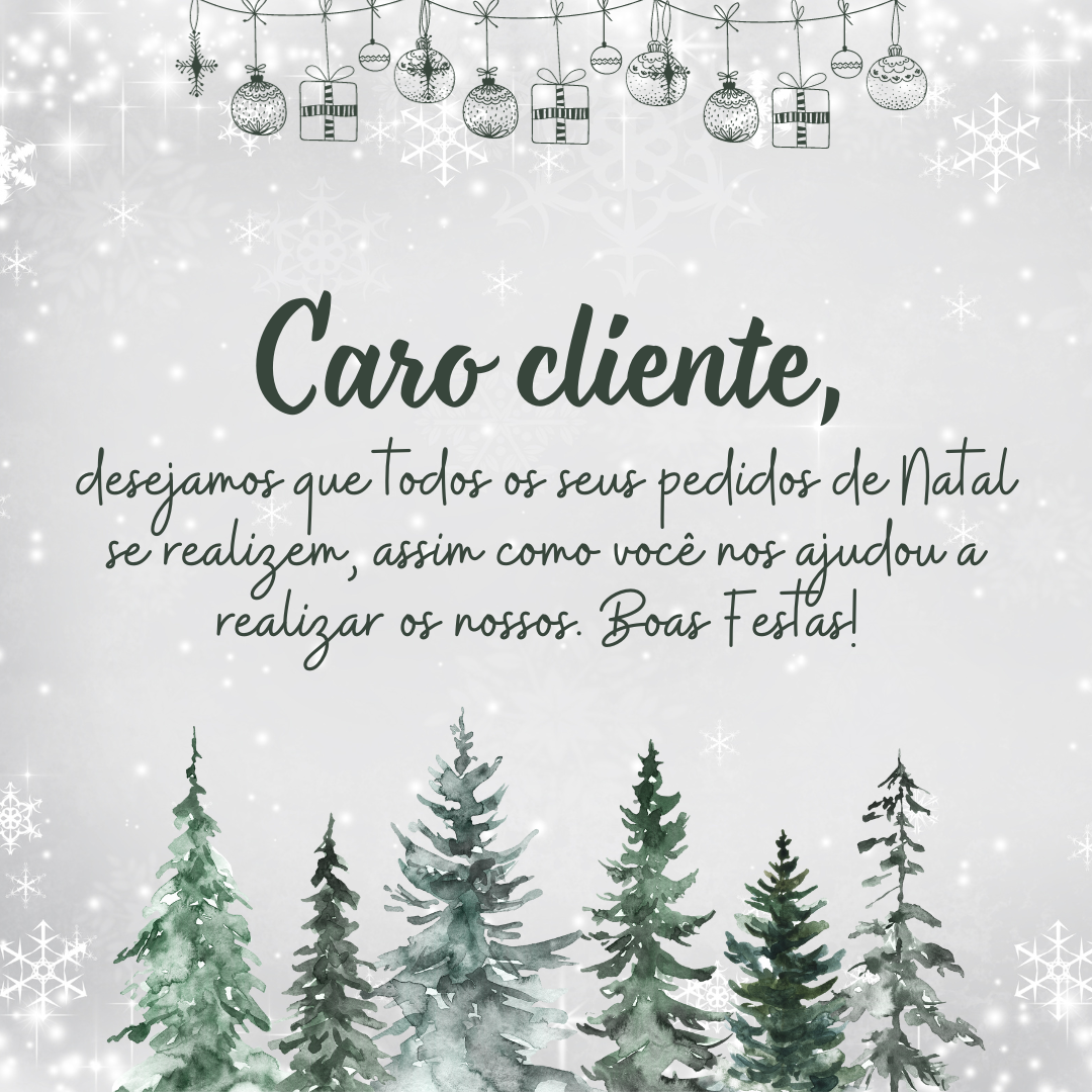 Caro cliente, desejamos que todos os seus pedidos de Natal se realizem, assim como você nos ajudou a realizar os nossos. Boas Festas! 