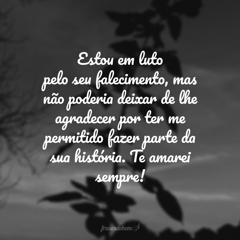 Estou em luto pelo seu falecimento, mas não poderia deixar de lhe agradecer por ter me permitido fazer parte da sua história. Te amarei sempre! 