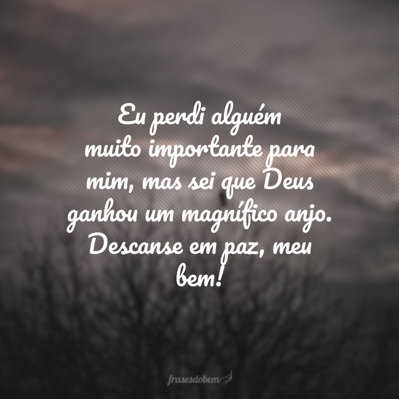 Eu perdi alguém muito importante para mim, mas sei que Deus ganhou um magnífico anjo. Descanse em paz, meu bem! 