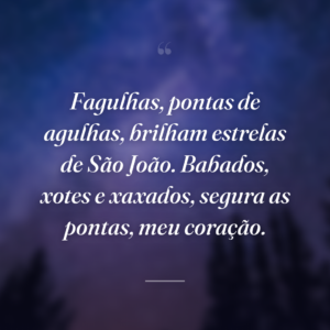 Fagulhas, pontas de agulhas, brilham estrelas de São João. Babados, xotes e xaxados, segura as pontas, meu coração.